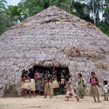 Load image into Gallery viewer, Apurinã • Awiry