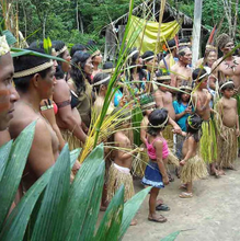 Load image into Gallery viewer, Apurinã • Awiry