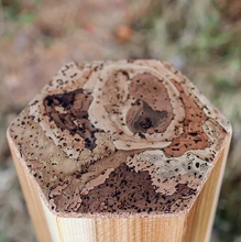 Load image into Gallery viewer, Rain Pillars - Harmony of Water