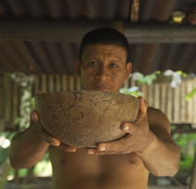 Load image into Gallery viewer, Wayusa (Guayusa) Energy Tea - Quechua tribe (Ecuador), 100% Organic