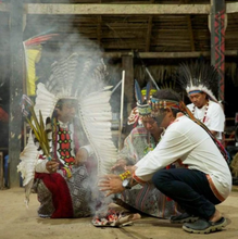 Load image into Gallery viewer, Yawanawá • Tsunu Forte