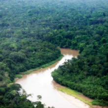 Load image into Gallery viewer, Yawanawá • Tsunu Forte