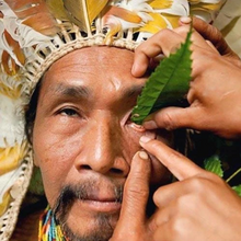 Load image into Gallery viewer, Golden Sananga, Yawanawá